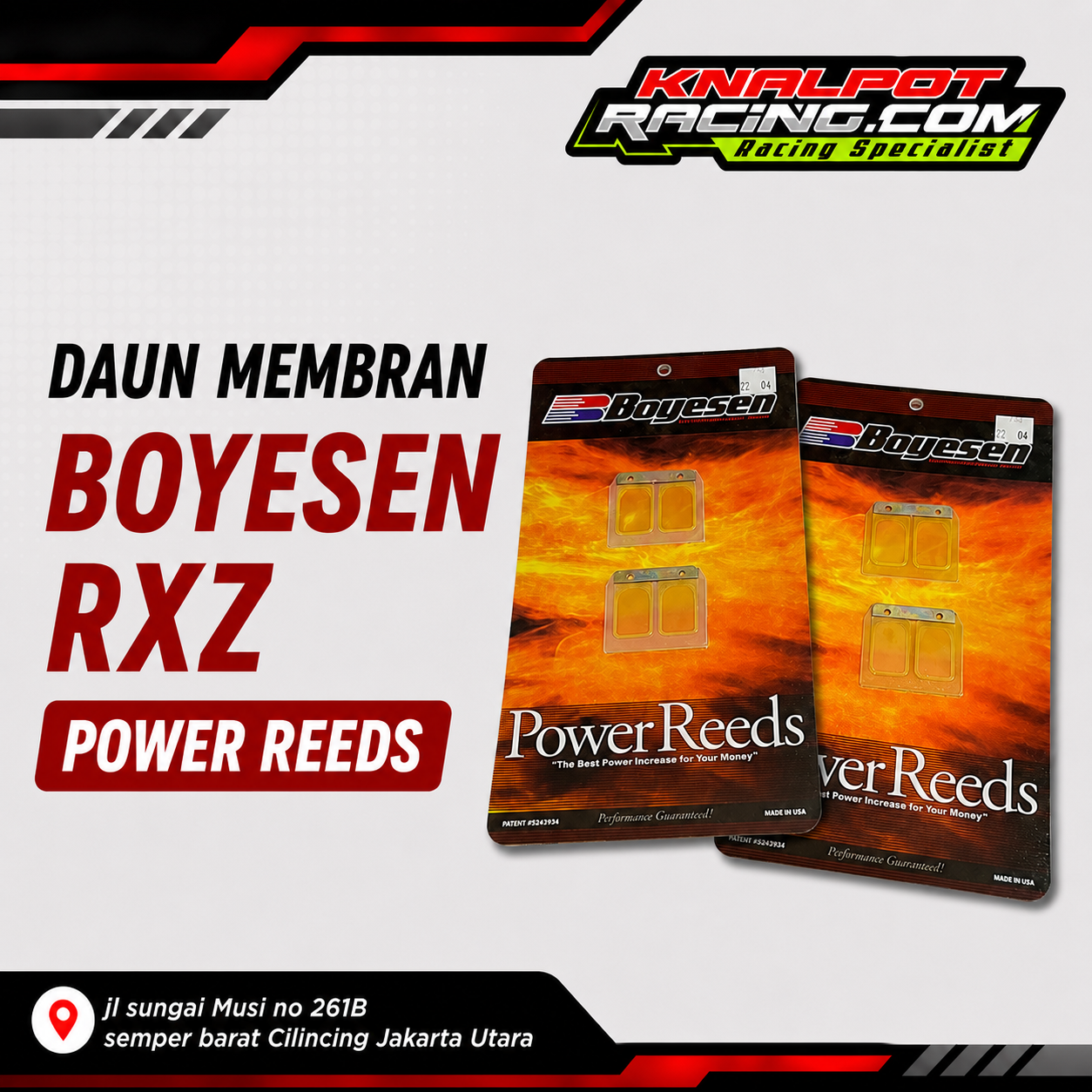 DAUN MEMBRAN BOYESEN RXZ